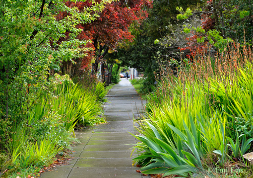 Stuart Street 7